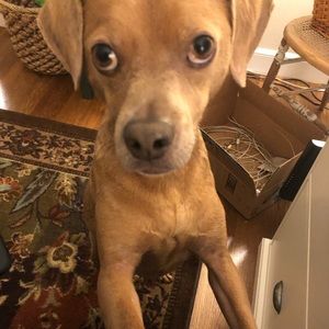 Meet your Posher, Mary